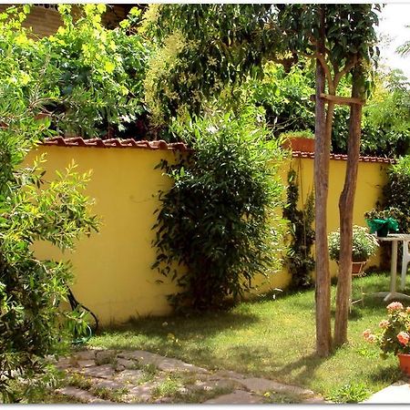 B&B Degli Amici Ciampino Ngoại thất bức ảnh